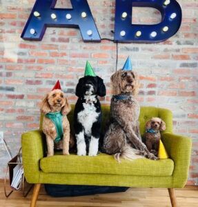 AB Hormone Therapy Bryan/College Station, Texas - Office Dogs Pic