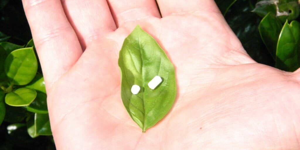 AB Hormone Therapy Bryan/College Station, Texas - 2 - Leaf in Hand Image