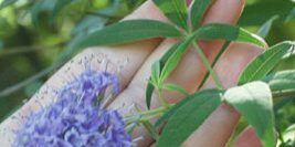 AB Hormone Therapy PMS What to do