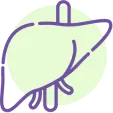 Advanced Bioidentical Hormone Therapy Liver Support